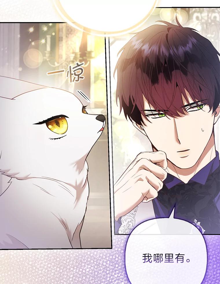 《大公家的狐狸皇女》23.助眠作战 第62页