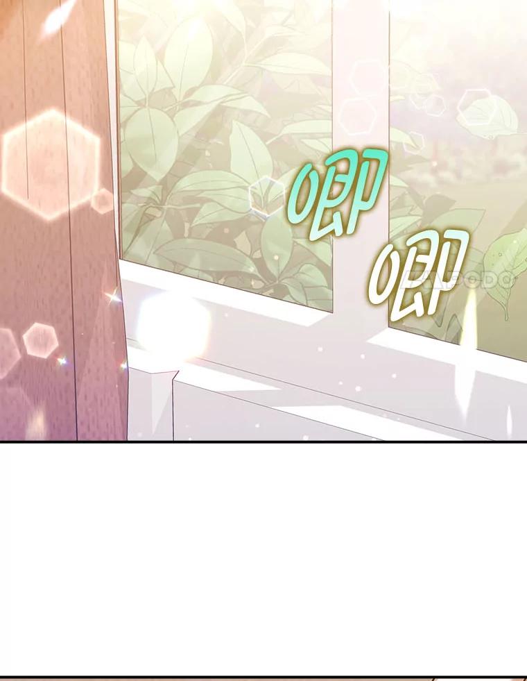 《消失的灰姑娘》22.苏醒之后 第66页