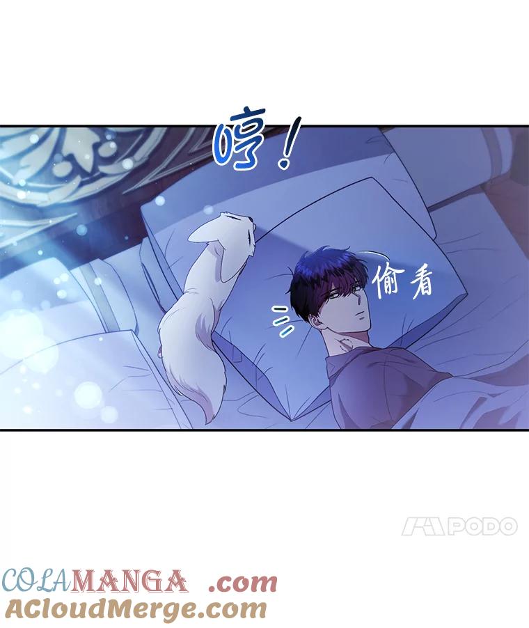 《大公家的狐狸皇女》23.助眠作战 第81页