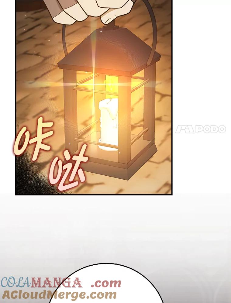 《消失的灰姑娘》23.踪迹暴露 第49页