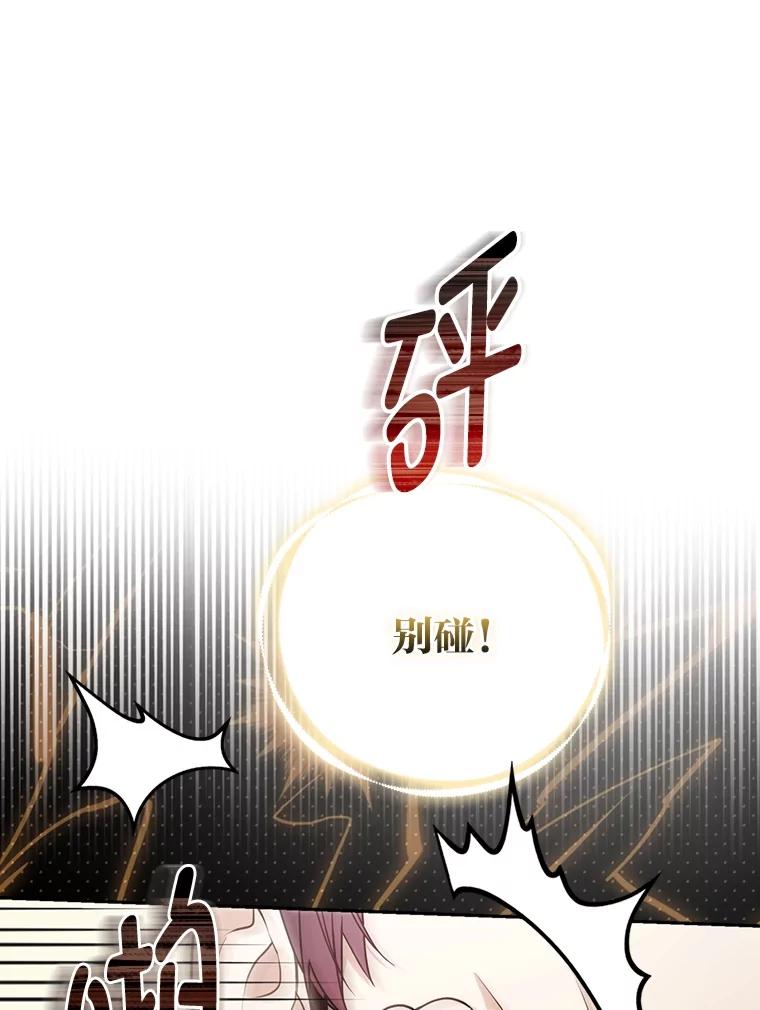《大公家的狐狸皇女》24.狐狸的贴身侍女 第17页