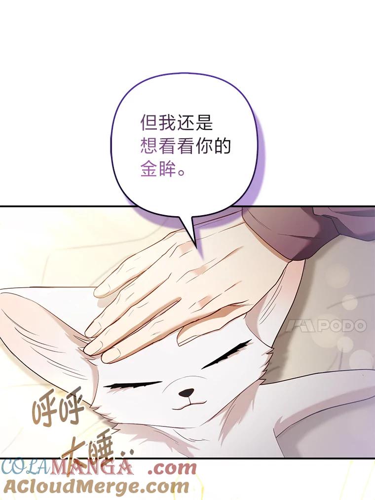 《大公家的狐狸皇女》24.狐狸的贴身侍女 第37页