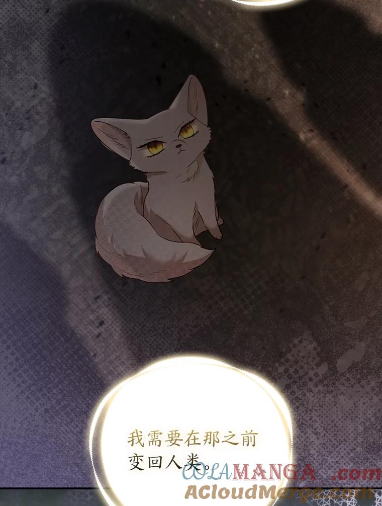 《大公家的狐狸皇女》24.狐狸的贴身侍女 第52页