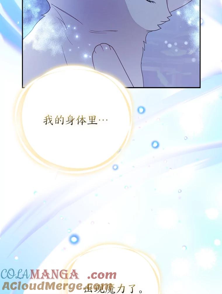 《大公家的狐狸皇女》24.狐狸的贴身侍女 第46页