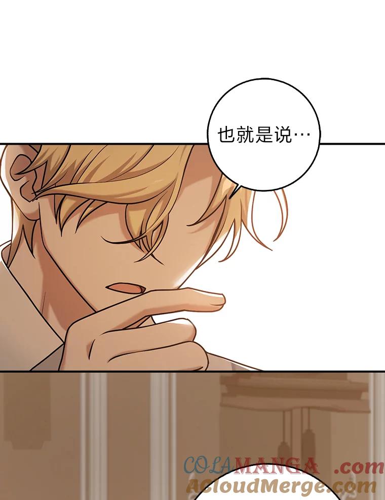 《消失的灰姑娘》23.踪迹暴露 第76页
