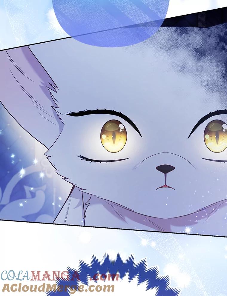 《大公家的狐狸皇女》24.狐狸的贴身侍女 第94页
