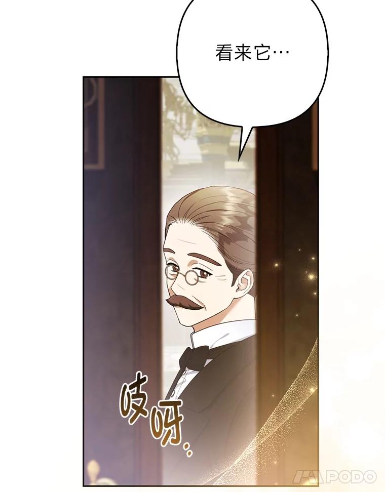 《大公家的狐狸皇女》24.狐狸的贴身侍女 第11页