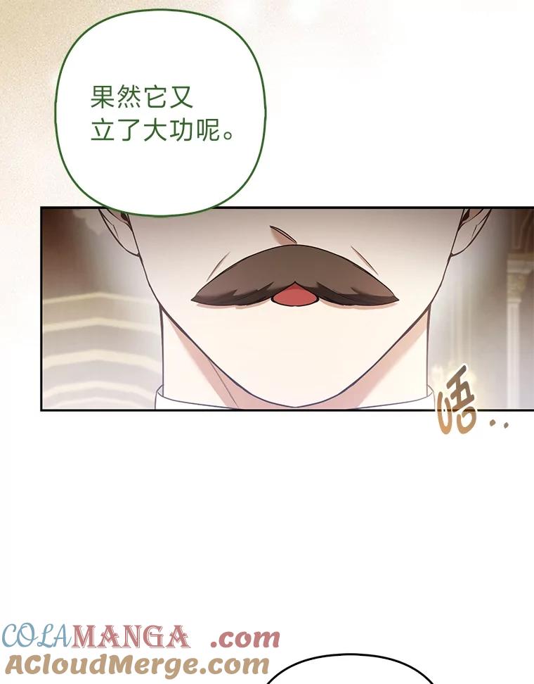 《大公家的狐狸皇女》24.狐狸的贴身侍女 第10页