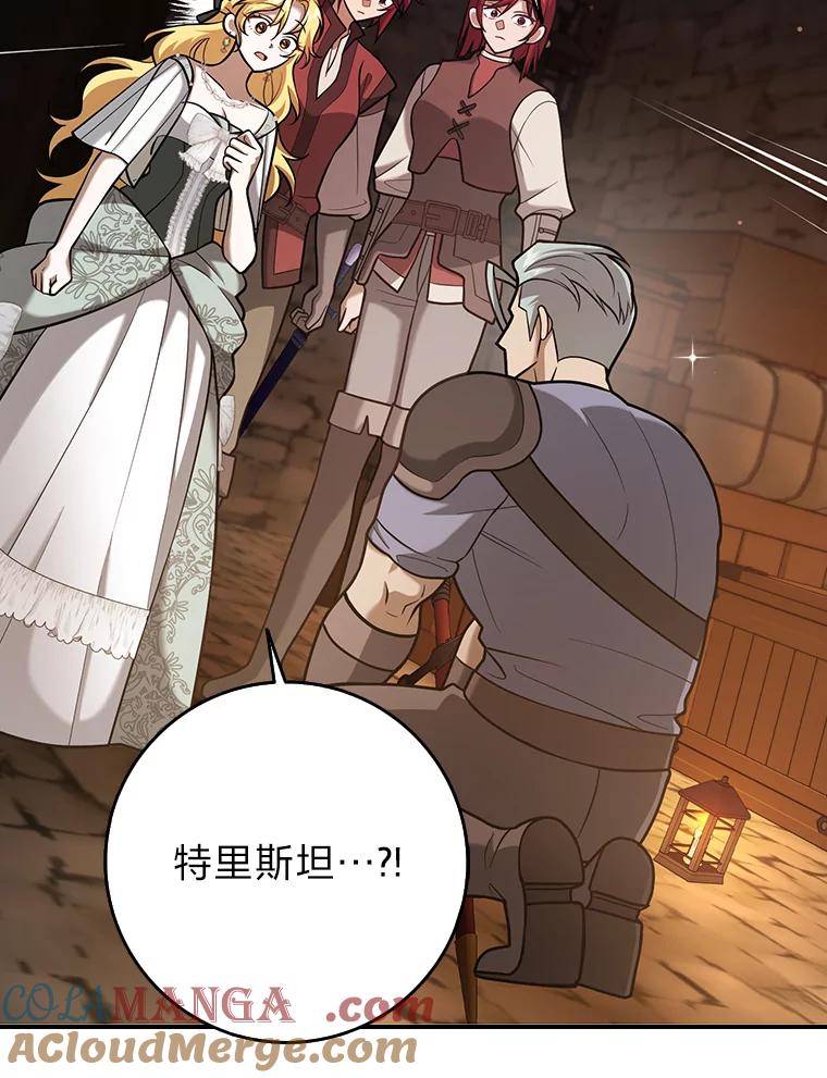 《消失的灰姑娘》23.踪迹暴露 第58页