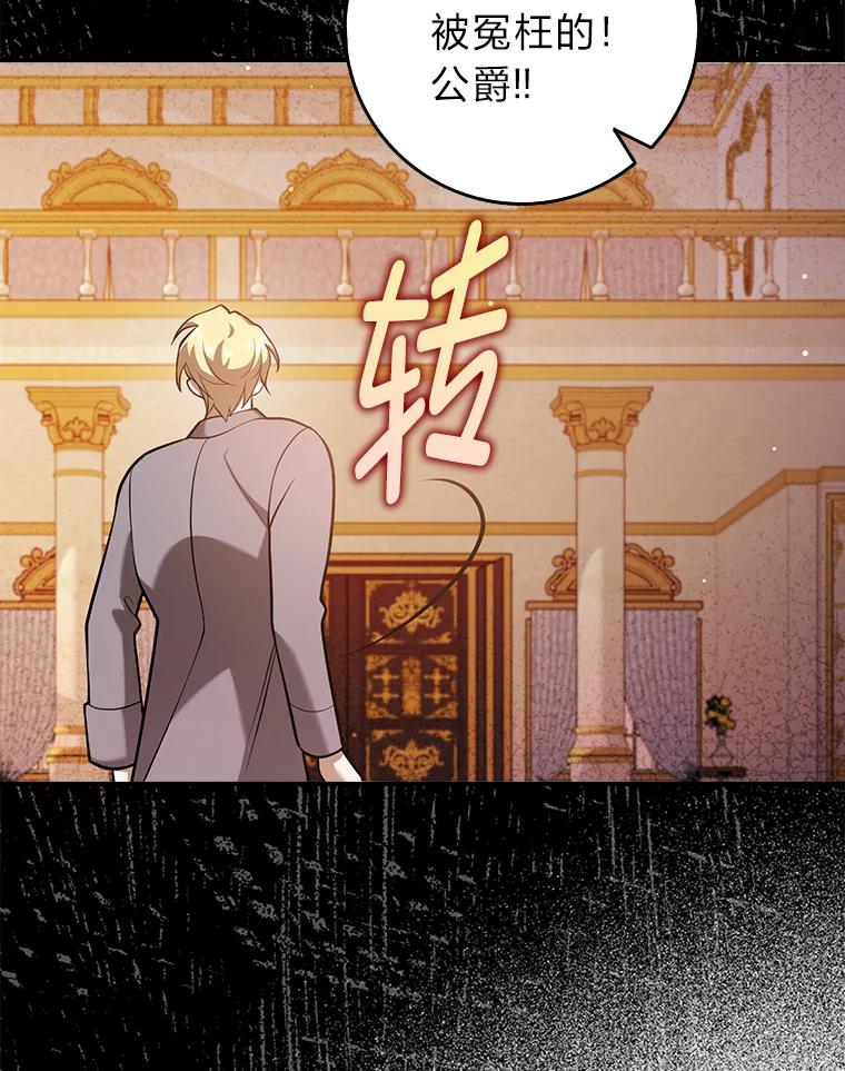 《消失的灰姑娘》24.谎言的必要性 第66页