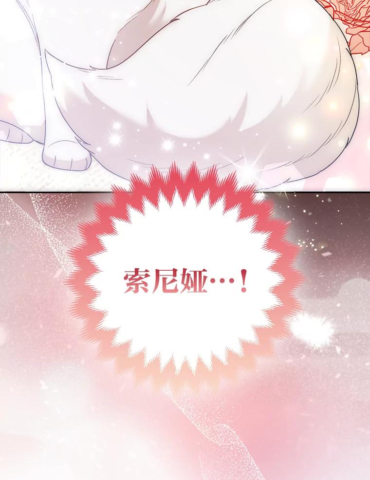 《大公家的狐狸皇女》25.侍女的真诚告白 第90页