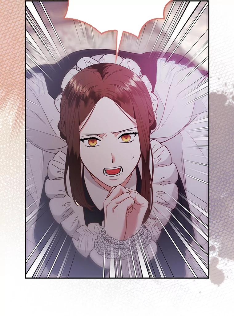 《大公家的狐狸皇女》25.侍女的真诚告白 第54页