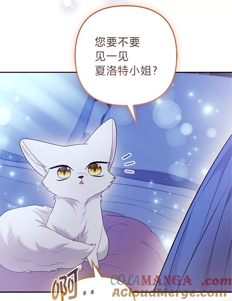 《大公家的狐狸皇女》25.侍女的真诚告白 第101页
