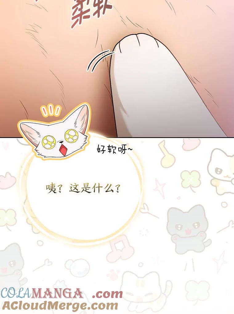 《大公家的狐狸皇女》25.侍女的真诚告白 第33页