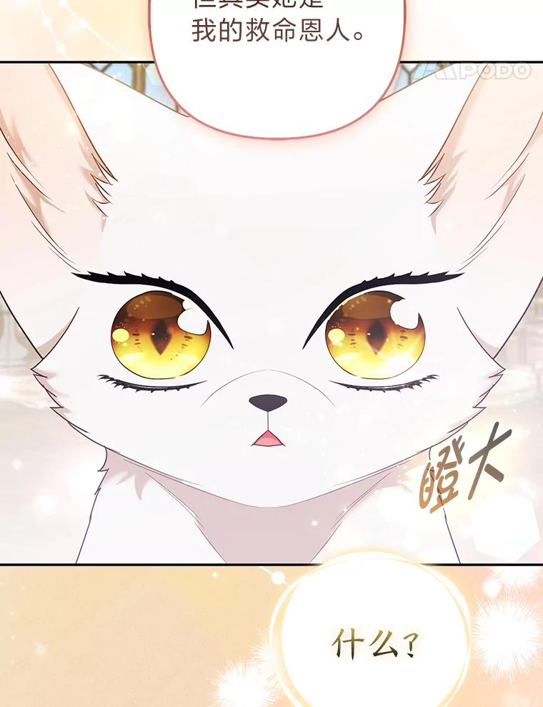 《大公家的狐狸皇女》25.侍女的真诚告白 第60页