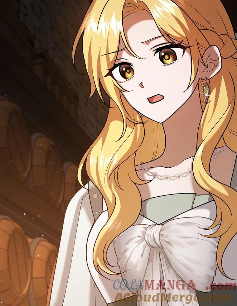 《消失的灰姑娘》24.谎言的必要性 第91页