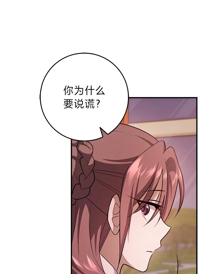 《消失的灰姑娘》24.谎言的必要性 第69页