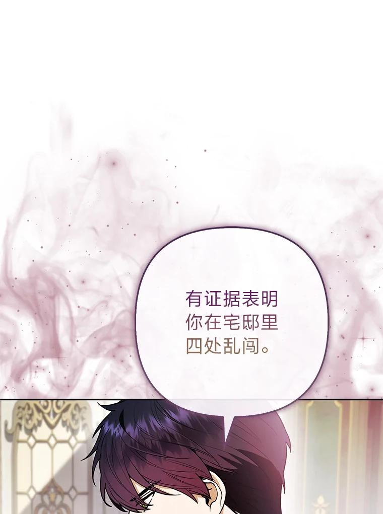 《大公家的狐狸皇女》25.侍女的真诚告白 第43页