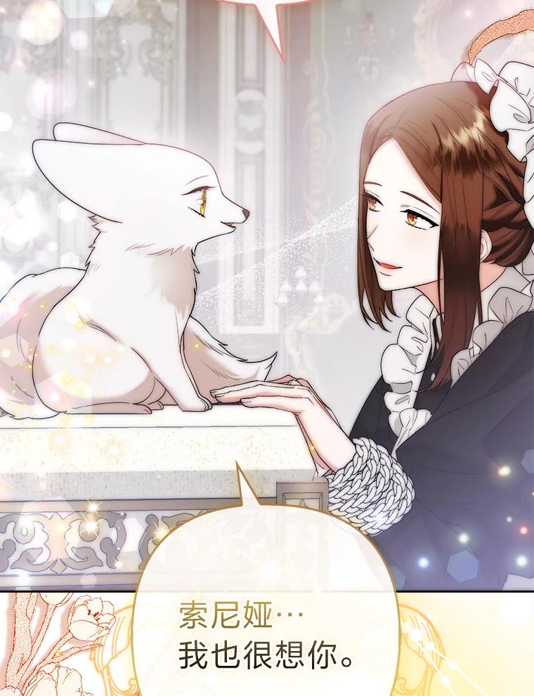 《大公家的狐狸皇女》25.侍女的真诚告白 第82页