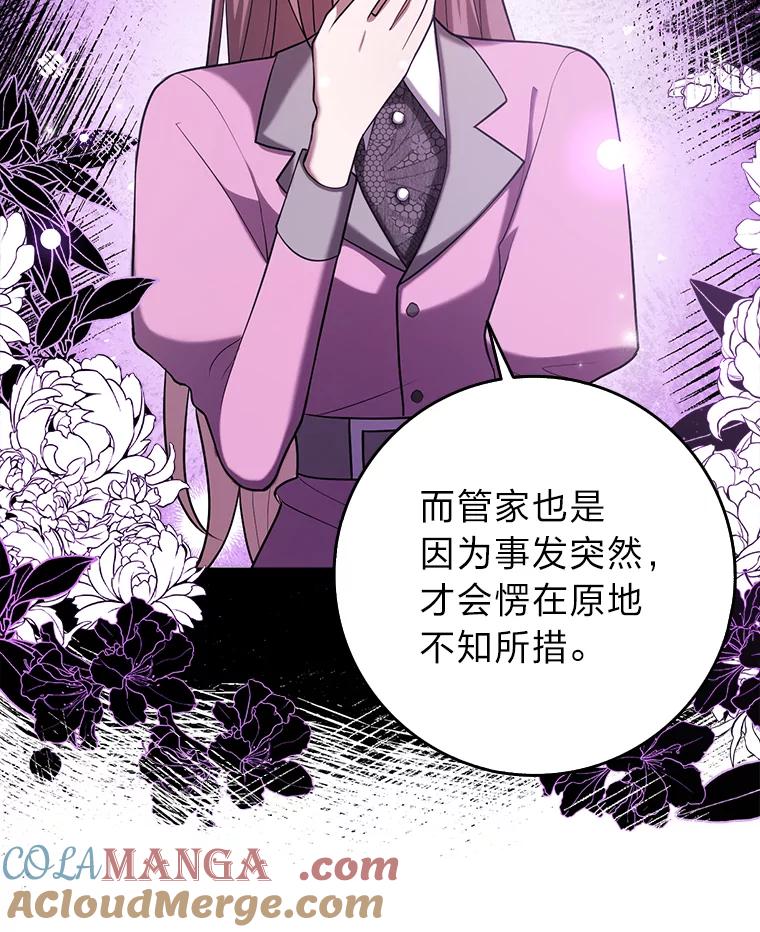 《消失的灰姑娘》24.谎言的必要性 第58页