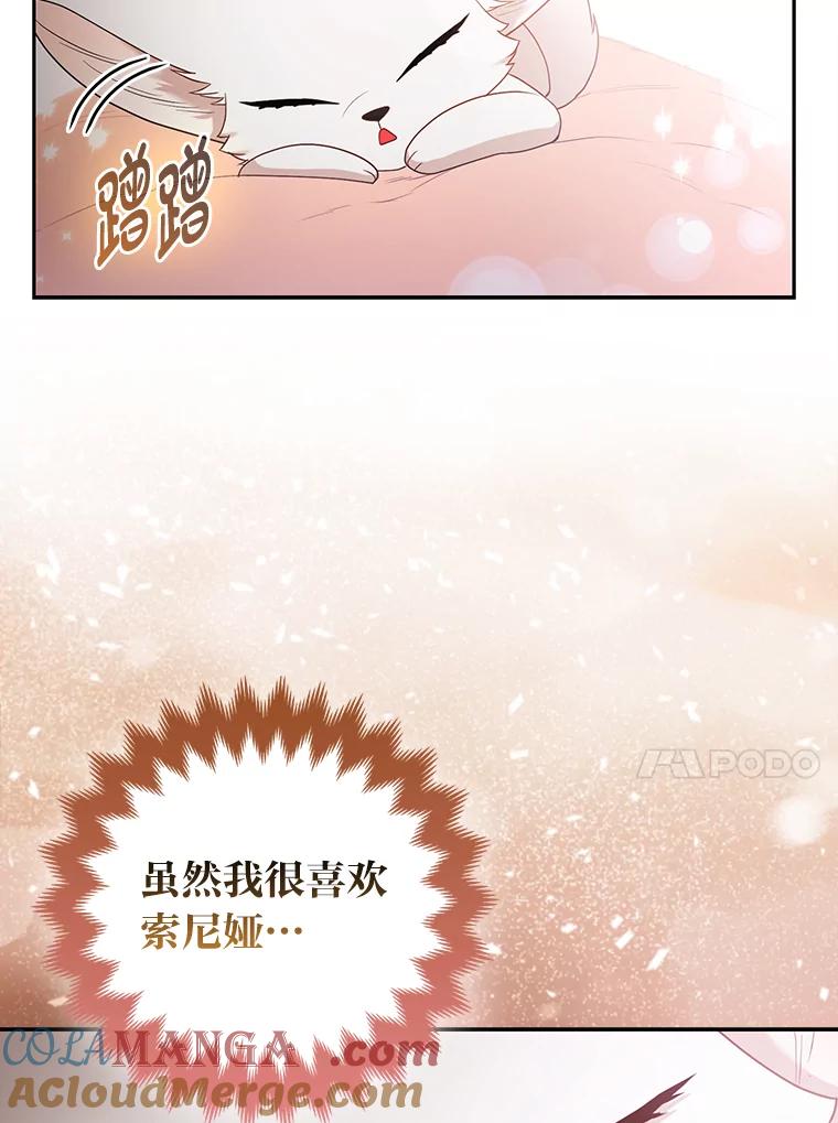 《大公家的狐狸皇女》25.侍女的真诚告白 第37页
