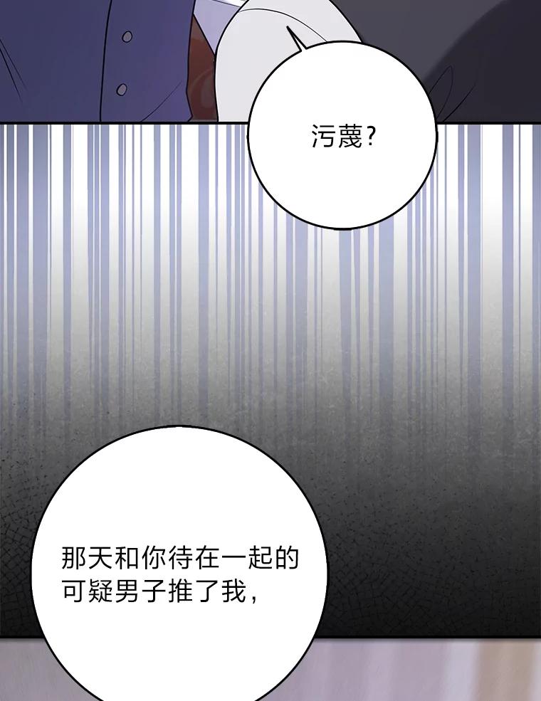 《消失的灰姑娘》24.谎言的必要性 第29页