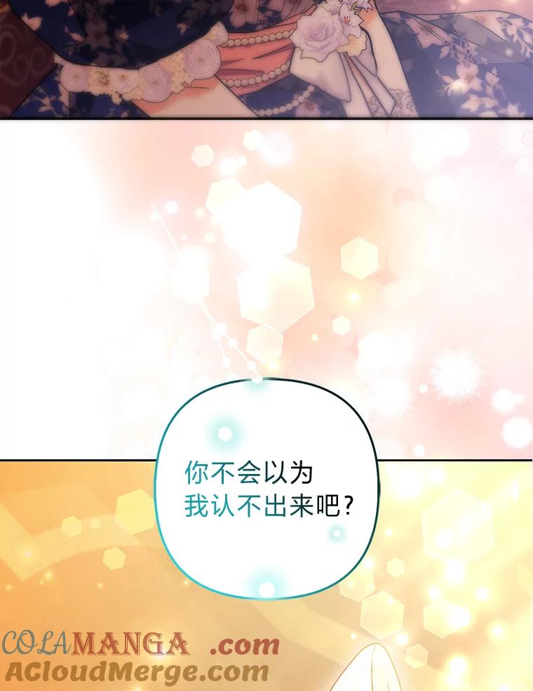 《大公家的狐狸皇女》26.一眼看穿 第69页