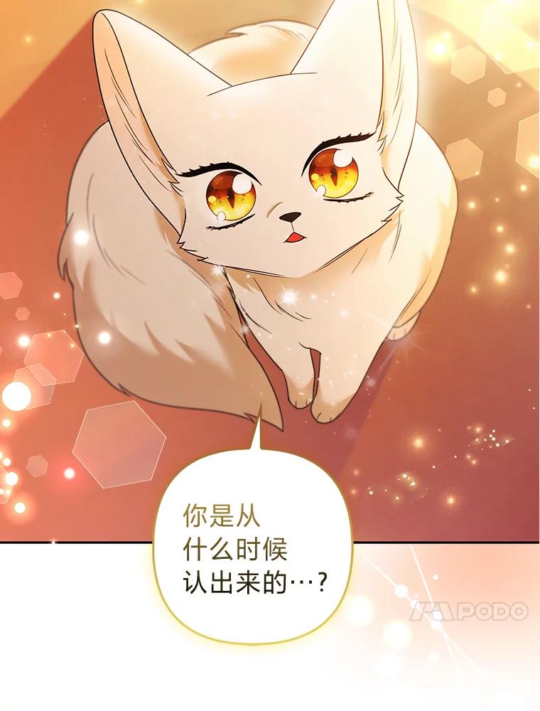 《大公家的狐狸皇女》26.一眼看穿 第70页