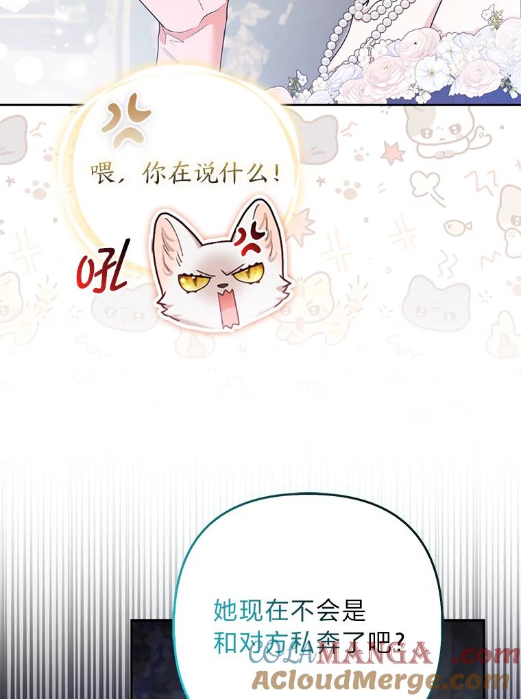《大公家的狐狸皇女》26.一眼看穿 第29页
