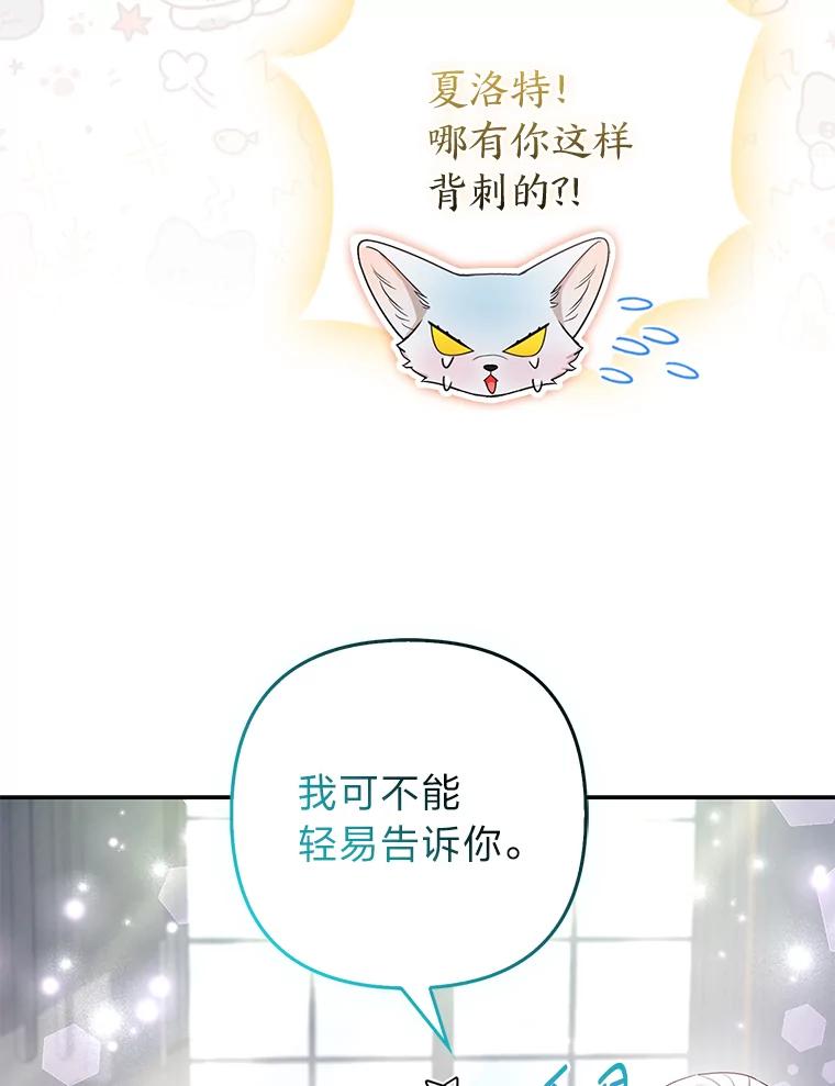 《大公家的狐狸皇女》26.一眼看穿 第46页