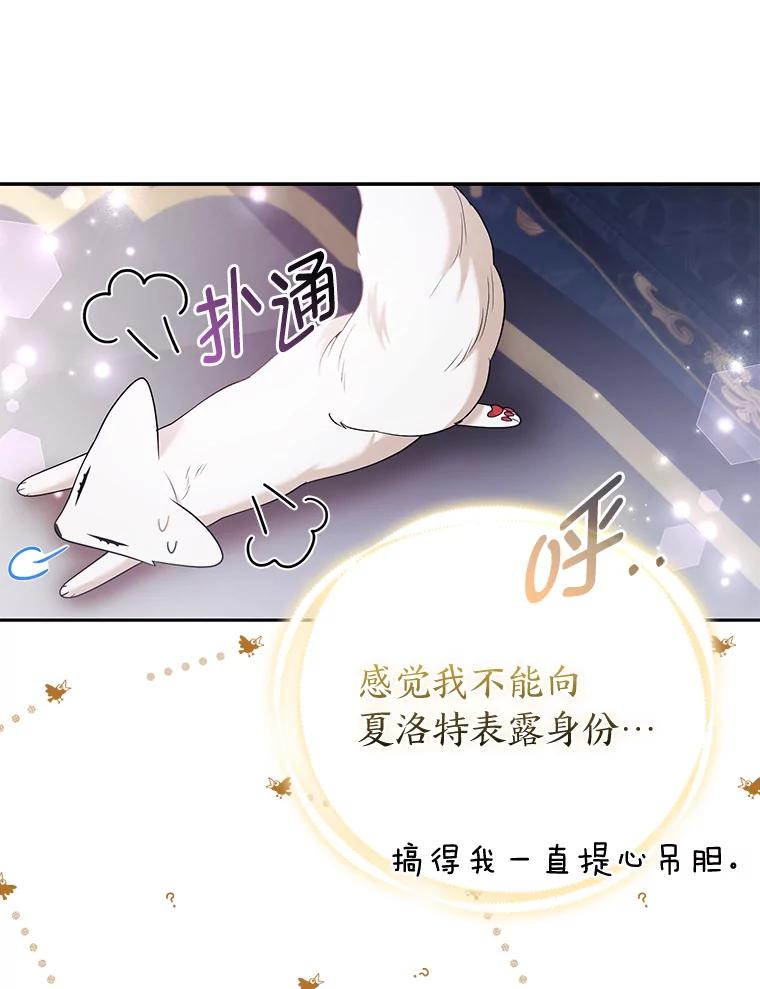 《大公家的狐狸皇女》26.一眼看穿 第48页