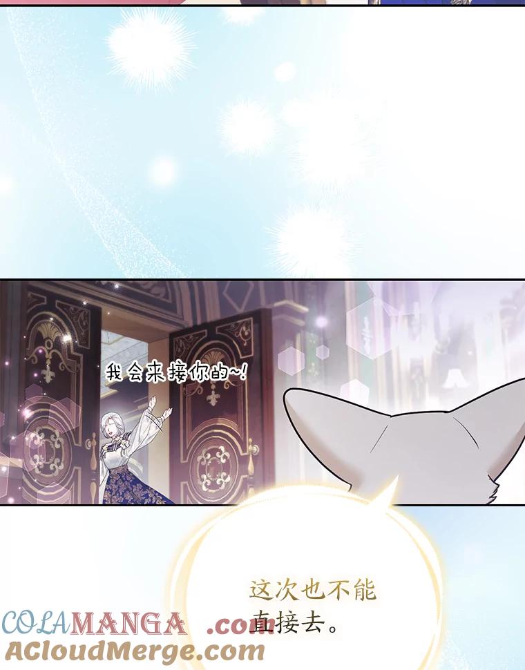 《大公家的狐狸皇女》28.歌剧宴会的邀请 第46页