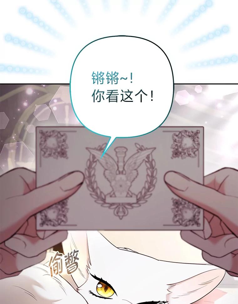 《大公家的狐狸皇女》28.歌剧宴会的邀请 第39页
