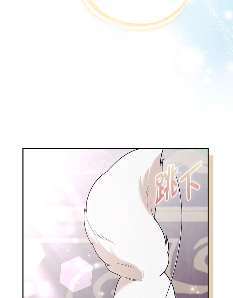 《大公家的狐狸皇女》28.歌剧宴会的邀请 第47页