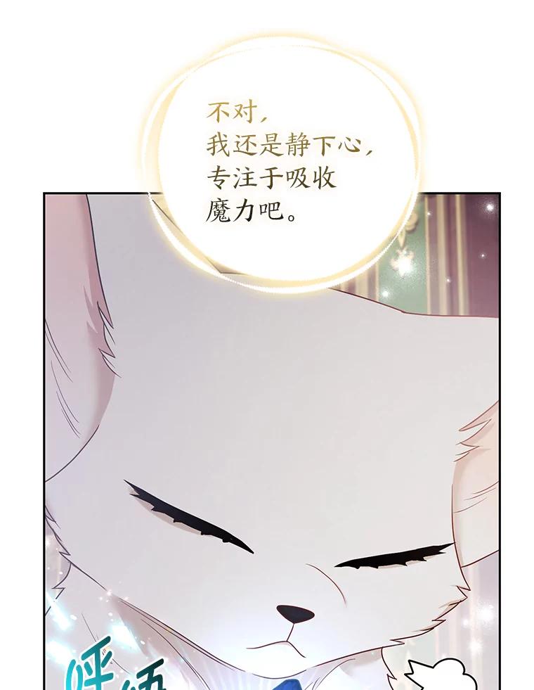 《大公家的狐狸皇女》28.歌剧宴会的邀请 第26页