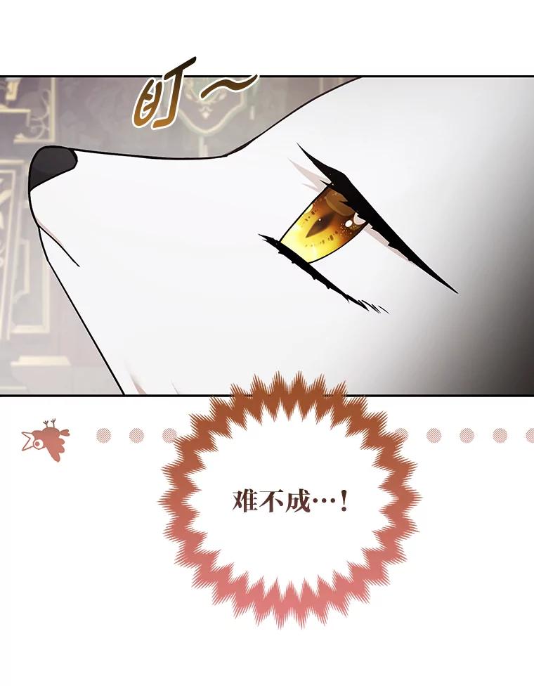 《大公家的狐狸皇女》28.歌剧宴会的邀请 第60页