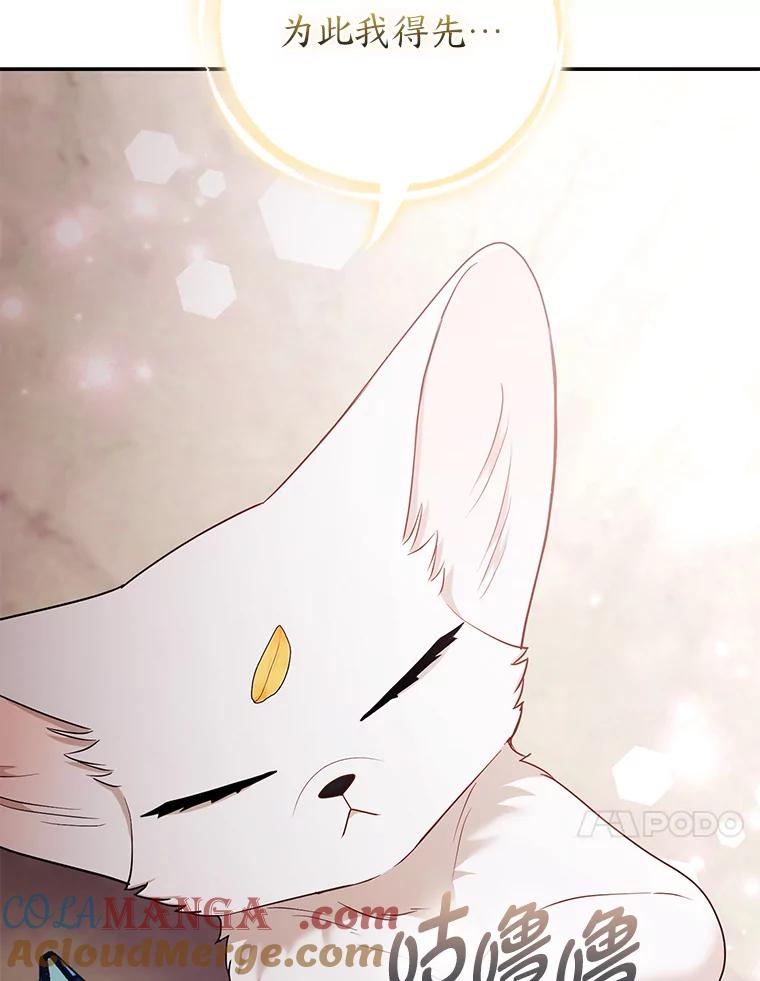 《大公家的狐狸皇女》28.歌剧宴会的邀请 第34页