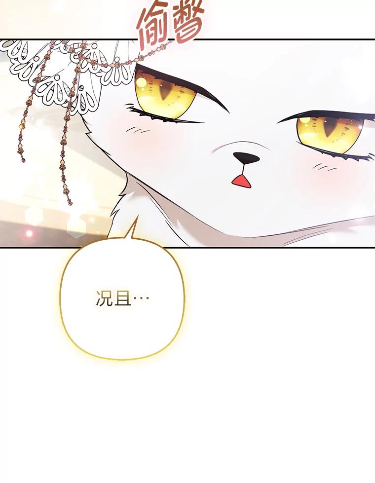 《大公家的狐狸皇女》28.歌剧宴会的邀请 第93页