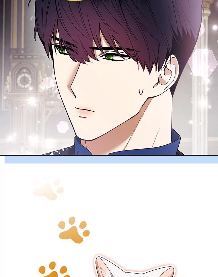 《大公家的狐狸皇女》28.歌剧宴会的邀请 第66页