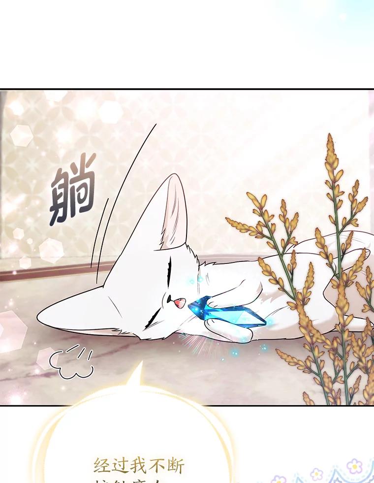 《大公家的狐狸皇女》28.歌剧宴会的邀请 第29页