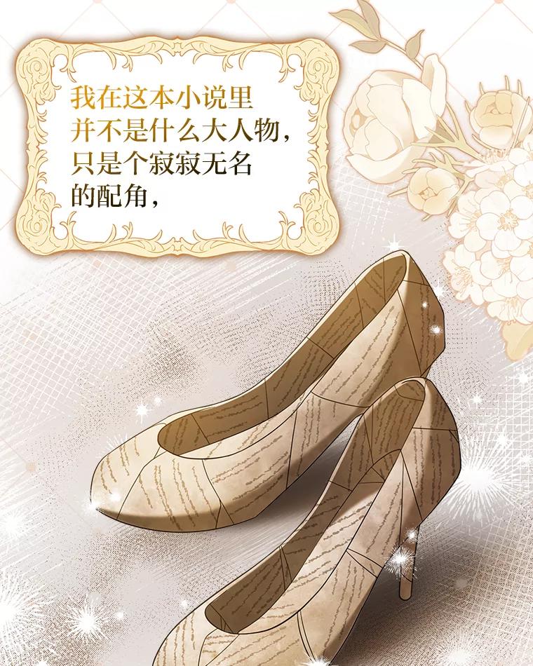 《消失的灰姑娘》1.各取所需 第42页