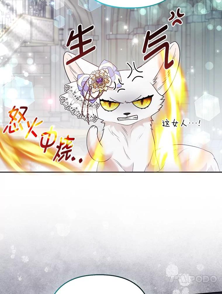《大公家的狐狸皇女》29.宴会的真正目的 第44页
