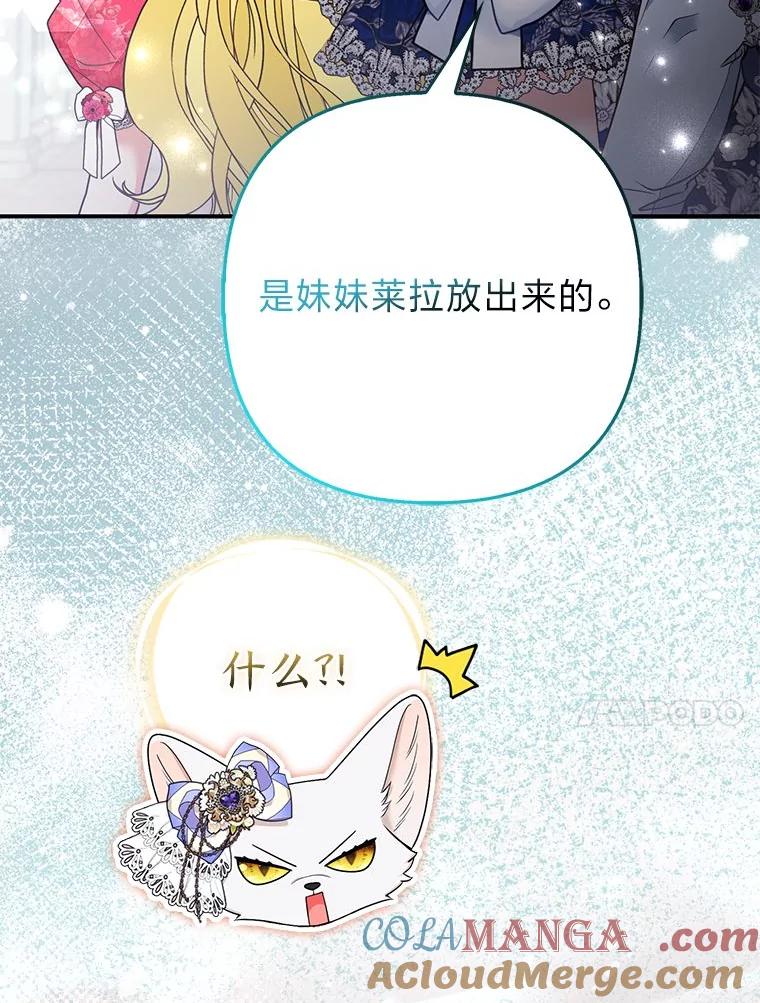《大公家的狐狸皇女》29.宴会的真正目的 第41页