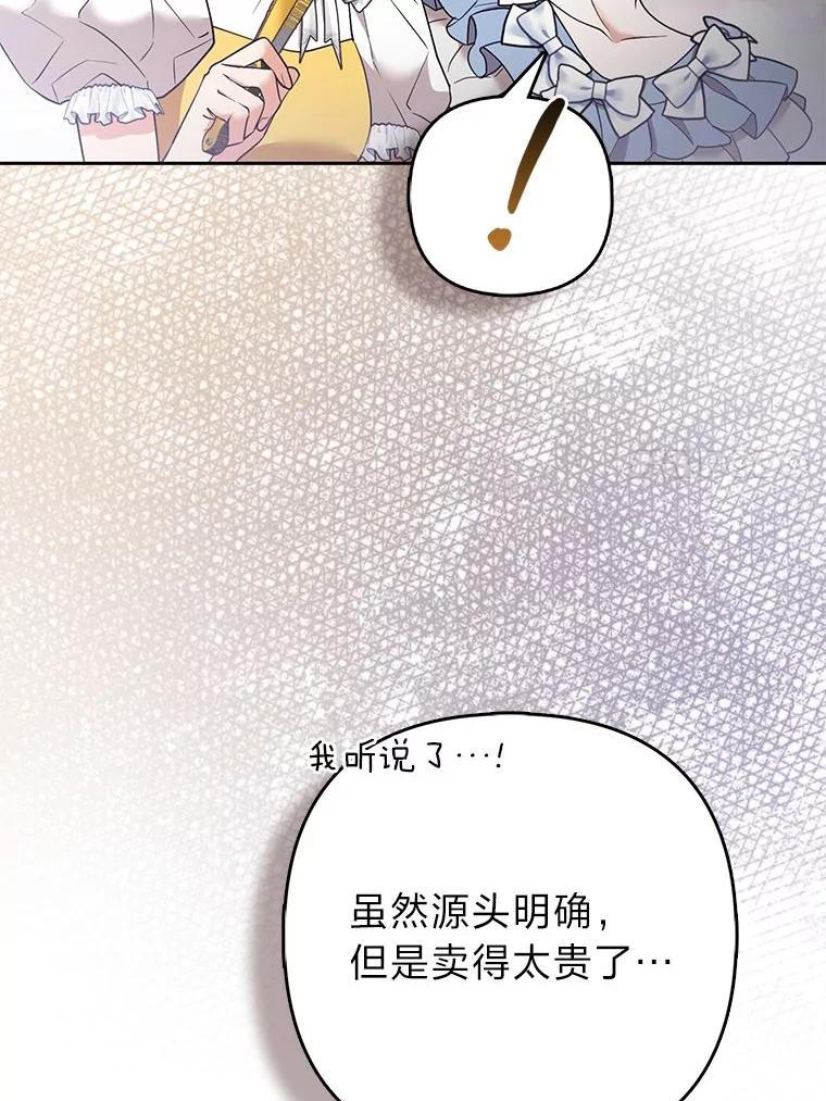 《大公家的狐狸皇女》29.宴会的真正目的 第22页