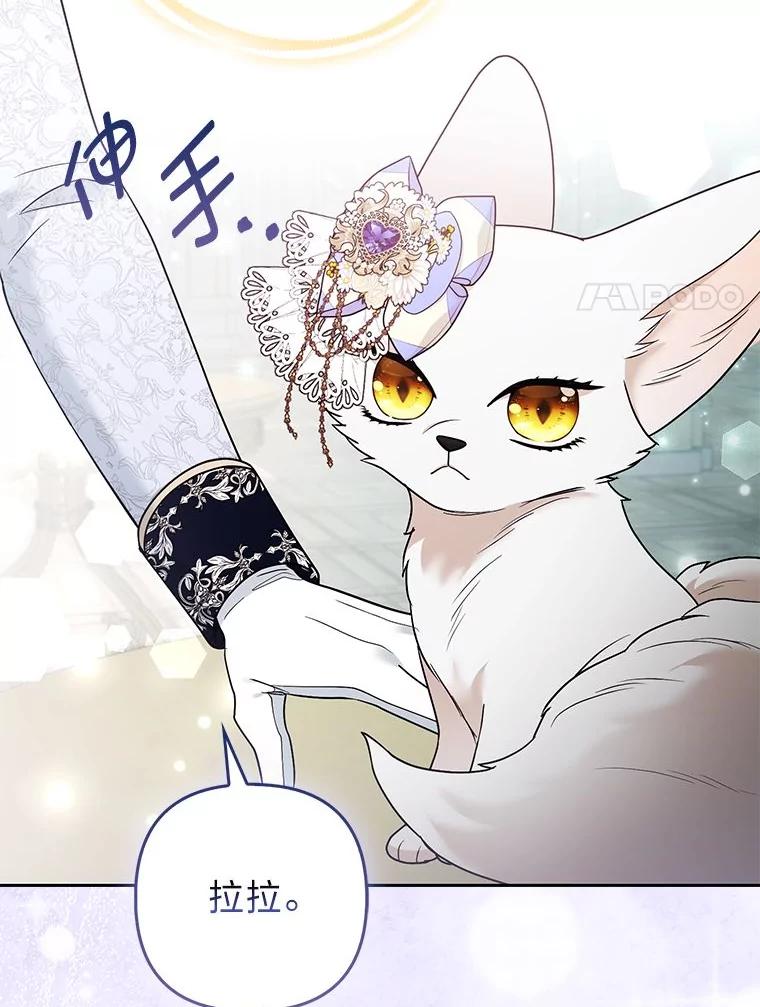 《大公家的狐狸皇女》29.宴会的真正目的 第68页