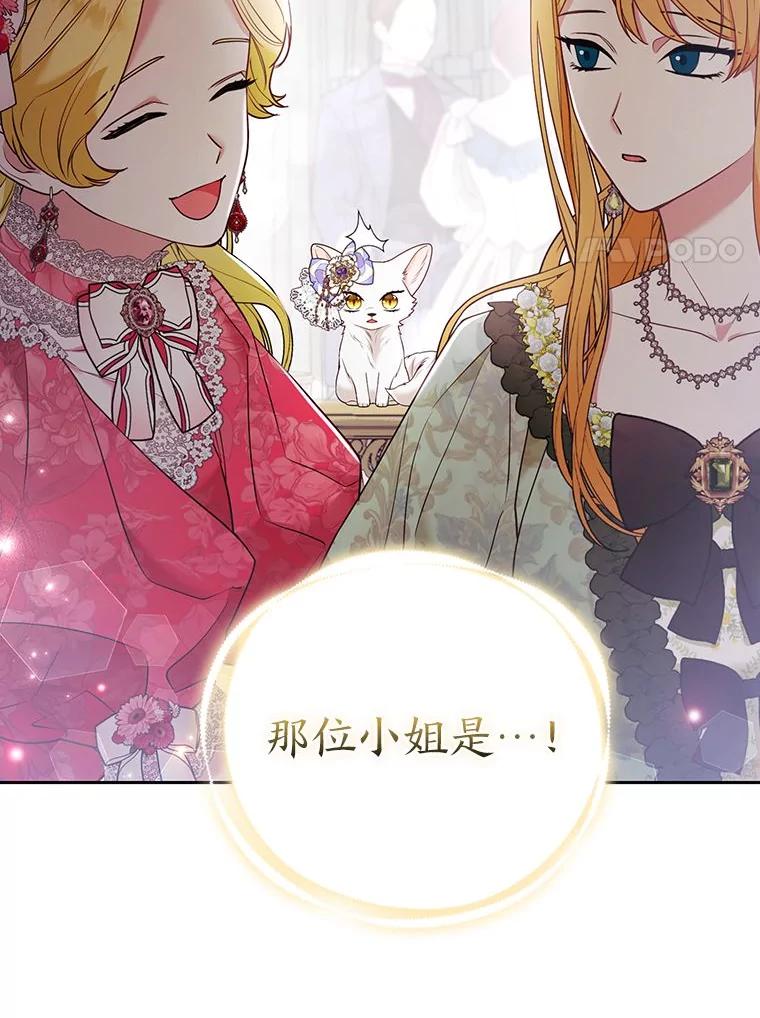 《大公家的狐狸皇女》29.宴会的真正目的 第35页