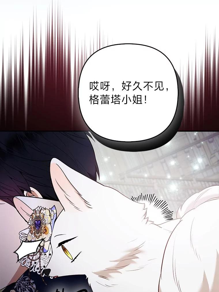 《大公家的狐狸皇女》29.宴会的真正目的 第31页
