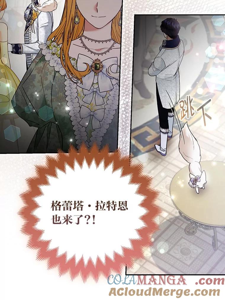 《大公家的狐狸皇女》29.宴会的真正目的 第33页