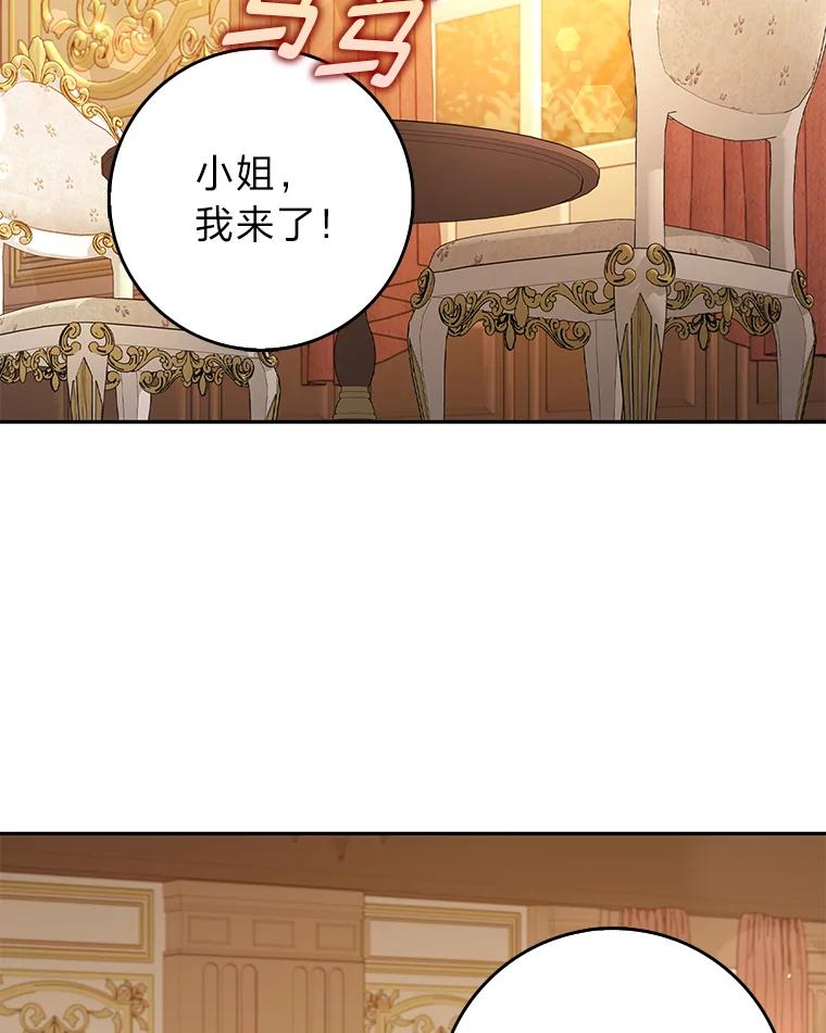 《消失的灰姑娘》28.舞会主办人 第2页