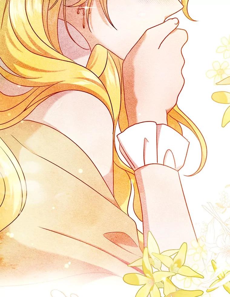 《消失的灰姑娘》29.体贴的嫂子 第87页